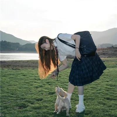画鸡